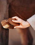 "Cara" Root Brush