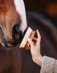 "MÄXCHEN" Goat Hair Face Brush