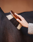 "Favo" Coat Shine Brush