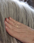 Sublime Mane Serum for horses