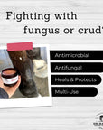 Heal and protect your horses fungus and crud. Formula 44 Ointment by Dr. Hansen's at Roxy and Bumble.