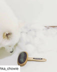 Natural Bamboo Slicker Brush: Cats & Dogs