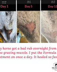 Before and after using Dr. Hansen's Formula 44 equine ointment to treat skin injuries.
