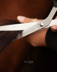 "Rudi" Robust Tail Shears