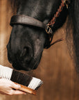 "Favo" Coat Shine Brush
