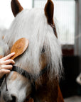 "Vidi" Mane & Tail Brush