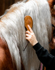 "Vidi" Mane & Tail Brush