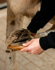 "Lilo" Hoof Pick