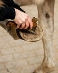 "Lilo" Hoof Pick