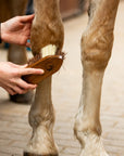 Equimour Hoof Duo Set