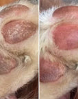 Before and after dogs paw pads after using Nellumbo Paw Pad Balm. Now available in North America!