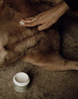 Applying Nellumbo ointment on a dog with hot spots. Heal your dog or cat naturally today.