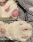 Before and after paw irritation using Nellumbo healing ointment. Now at Roxy and Bumble.