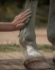Clay Poultice - Drainage & Detox