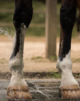 Clay Poultice - Drainage & Detox