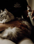 100% Organic shine and detangler by Nellumbo for your dogs and cats. Now available at Roxy and Bumble.