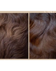 Before and after using Nellumbo Shine and Detangler. All natural, organic, and safe products for cats and dogs.
