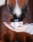 Equine ointment for wounds, scratches, rain rot, and more. Formula 44 by Dr. Hansen.
