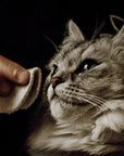 Cat being cleaned safely and naturally with Nellumbo Cleansing Lotion. Now at Roxy and Bumble.