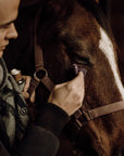 Cleansing Lotion (For the Equine)