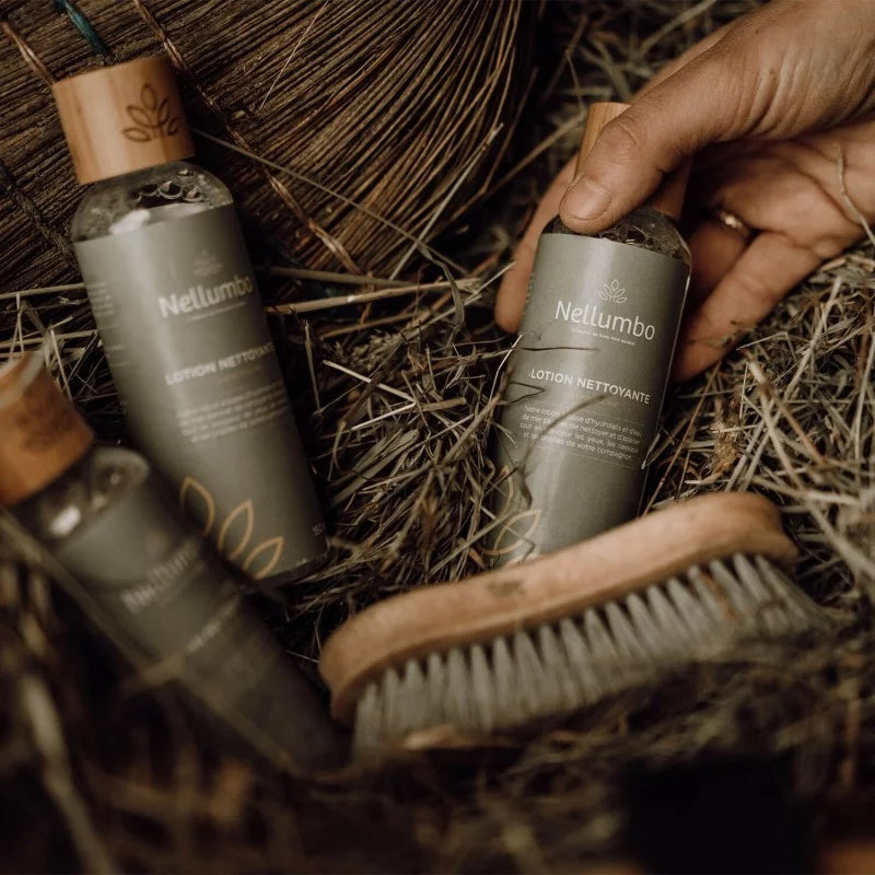 From Natural Materials to Customer Loyalty: Why Equestrians Love Roxy & Bumble