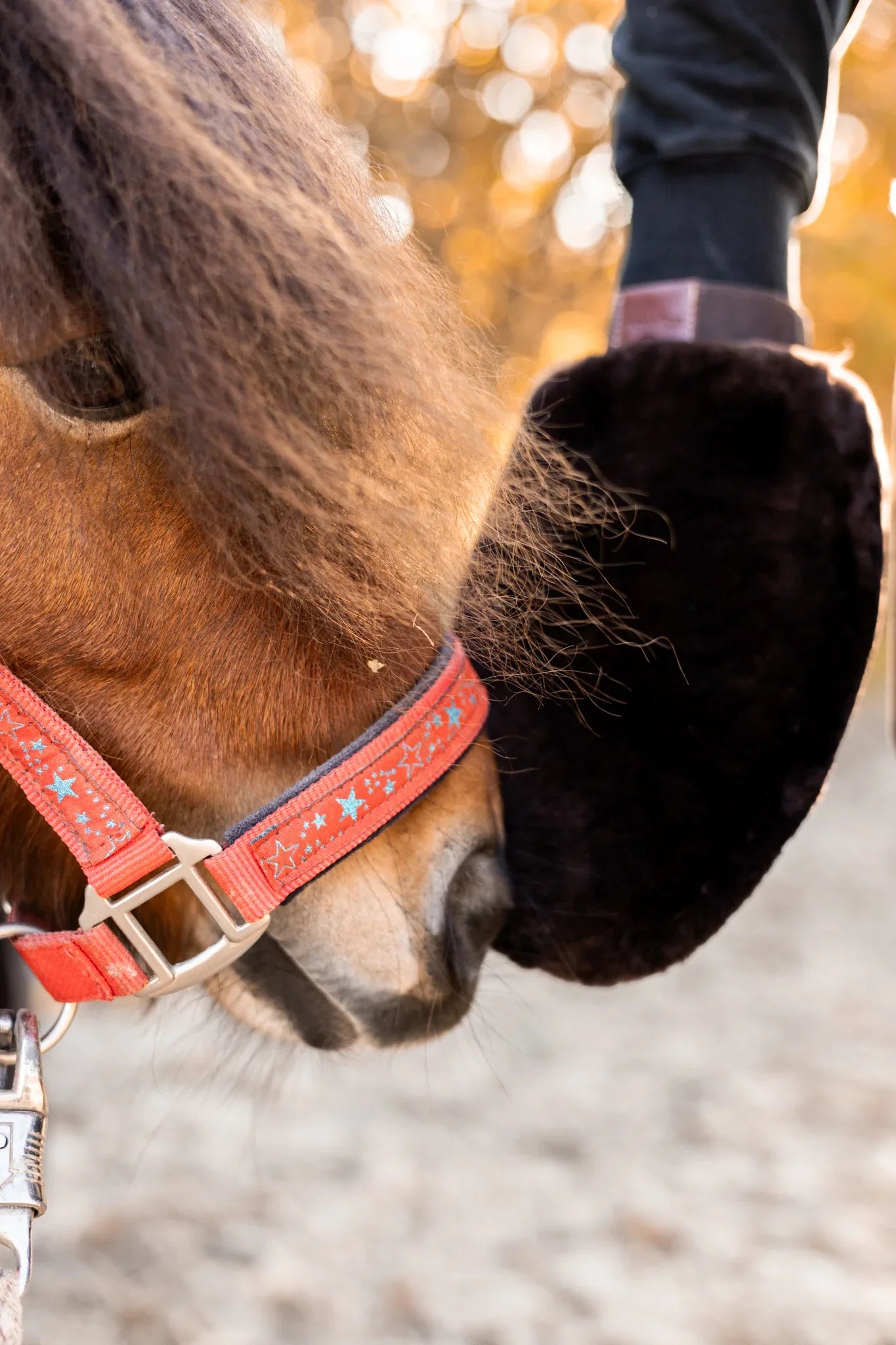 Christmas Gifts Under $25