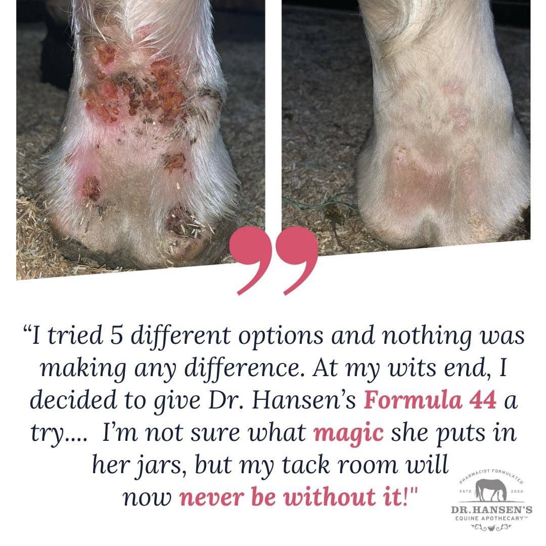 Treat your horses scratches and mud fever with Dr. Hansen's Formula 44 Ointment at Roxy and Bumble shop. 