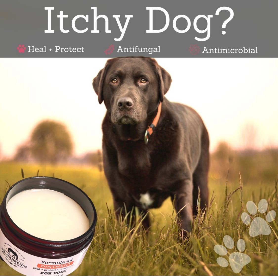 Antifungal and Antimicrobial ointment for dogs