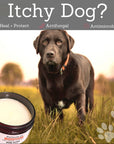 Antifungal and Antimicrobial ointment for dogs