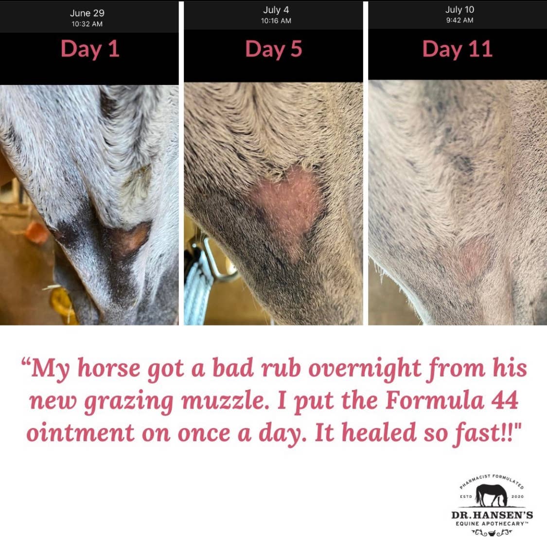 Before and after using Dr. Hansen's Formula 44 equine ointment to treat skin injuries. 