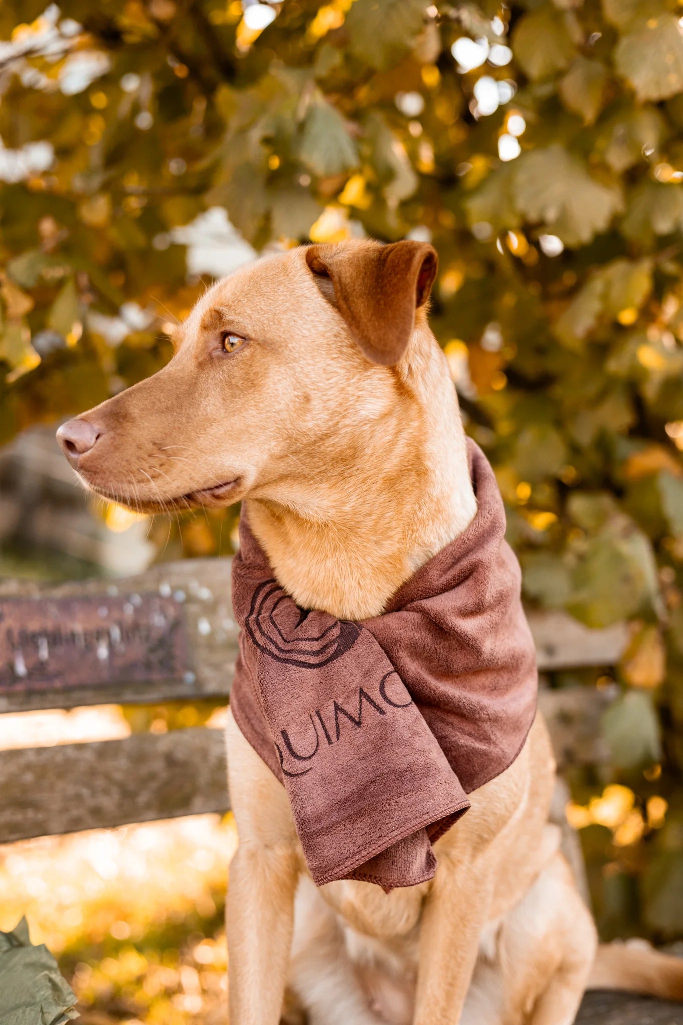&quot;Pamino&quot; Stable Towel