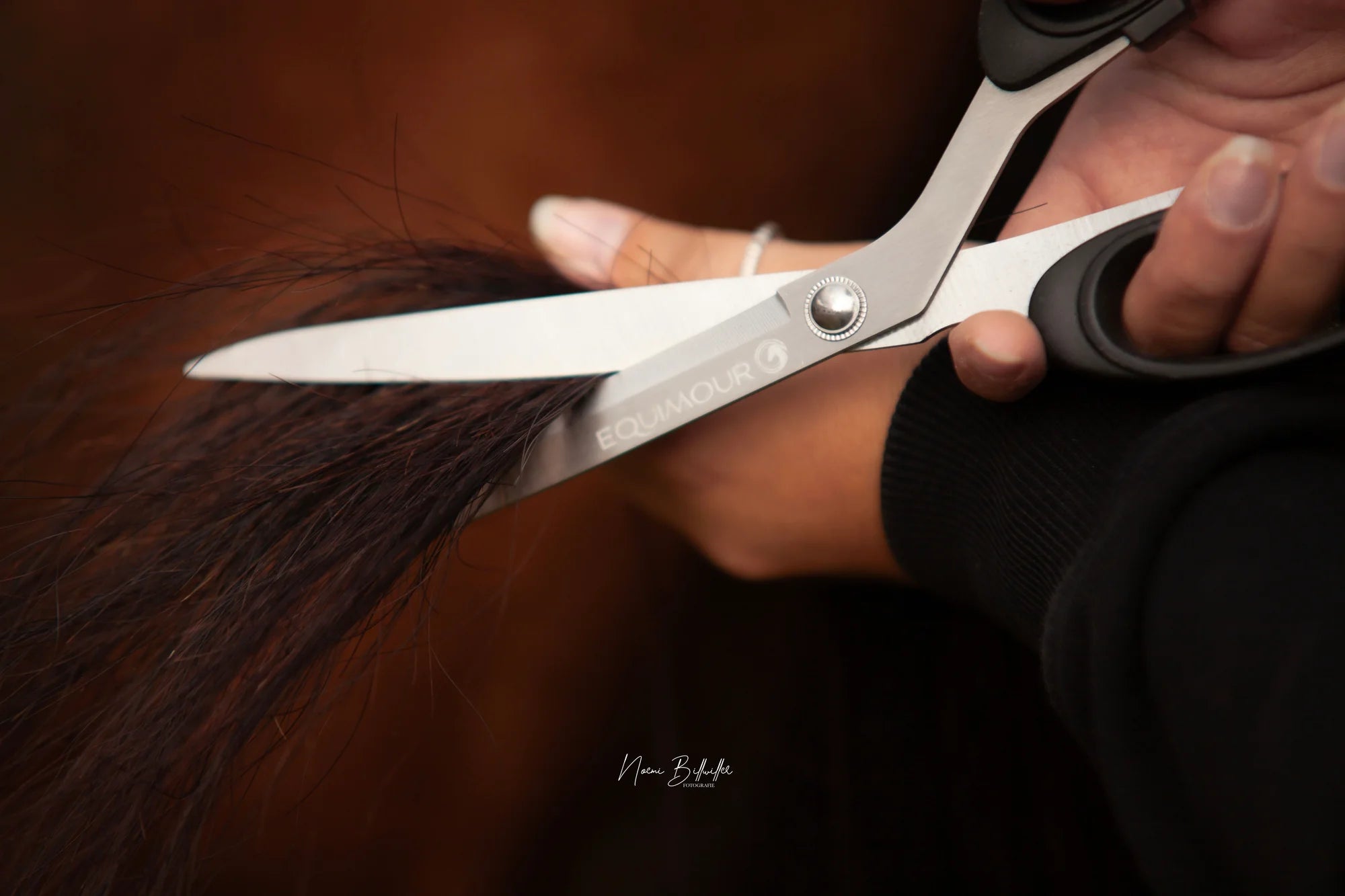&quot;Rudi&quot; Robust Tail Shears