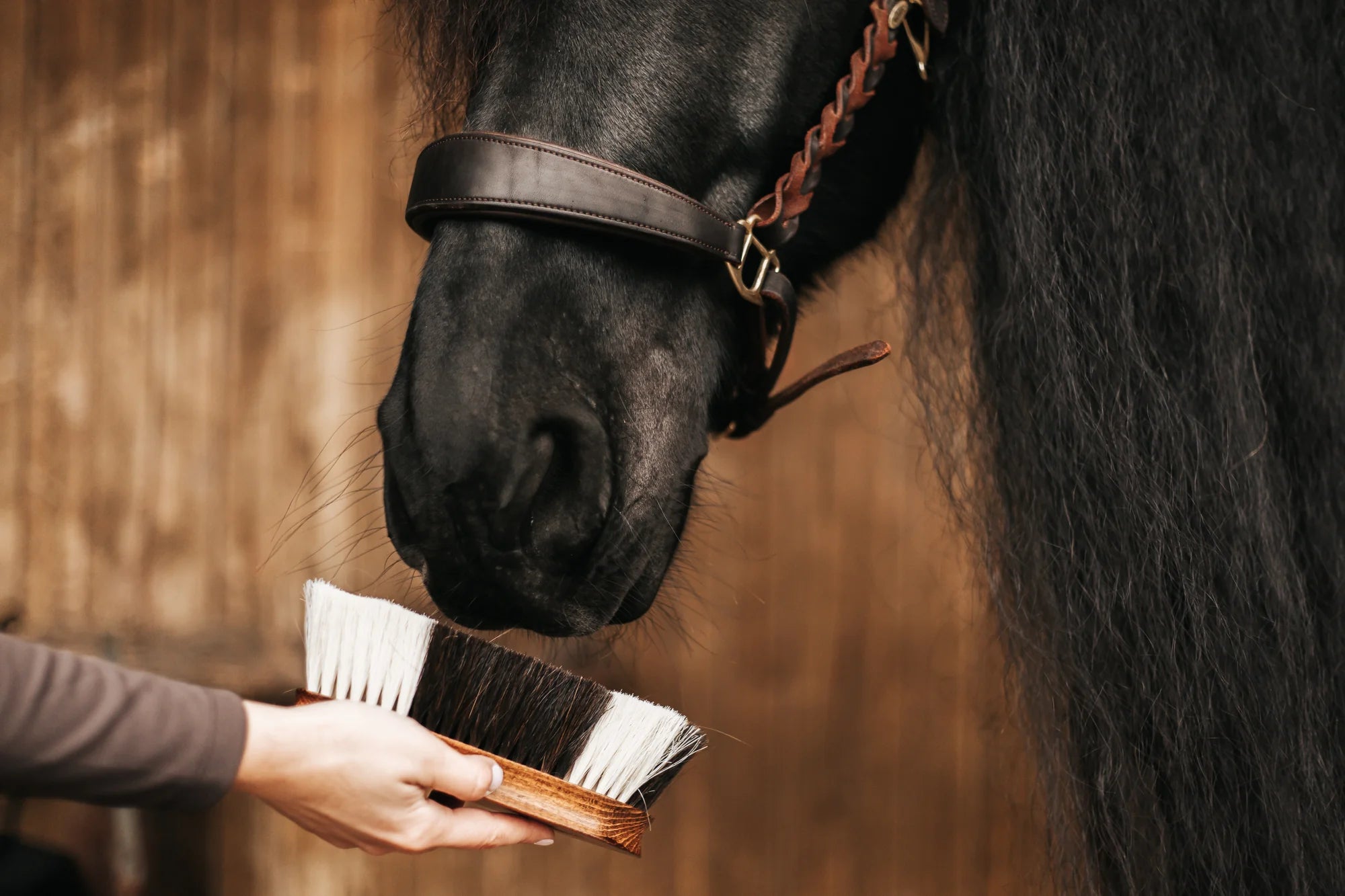 &quot;Favo&quot; Coat Shine Brush
