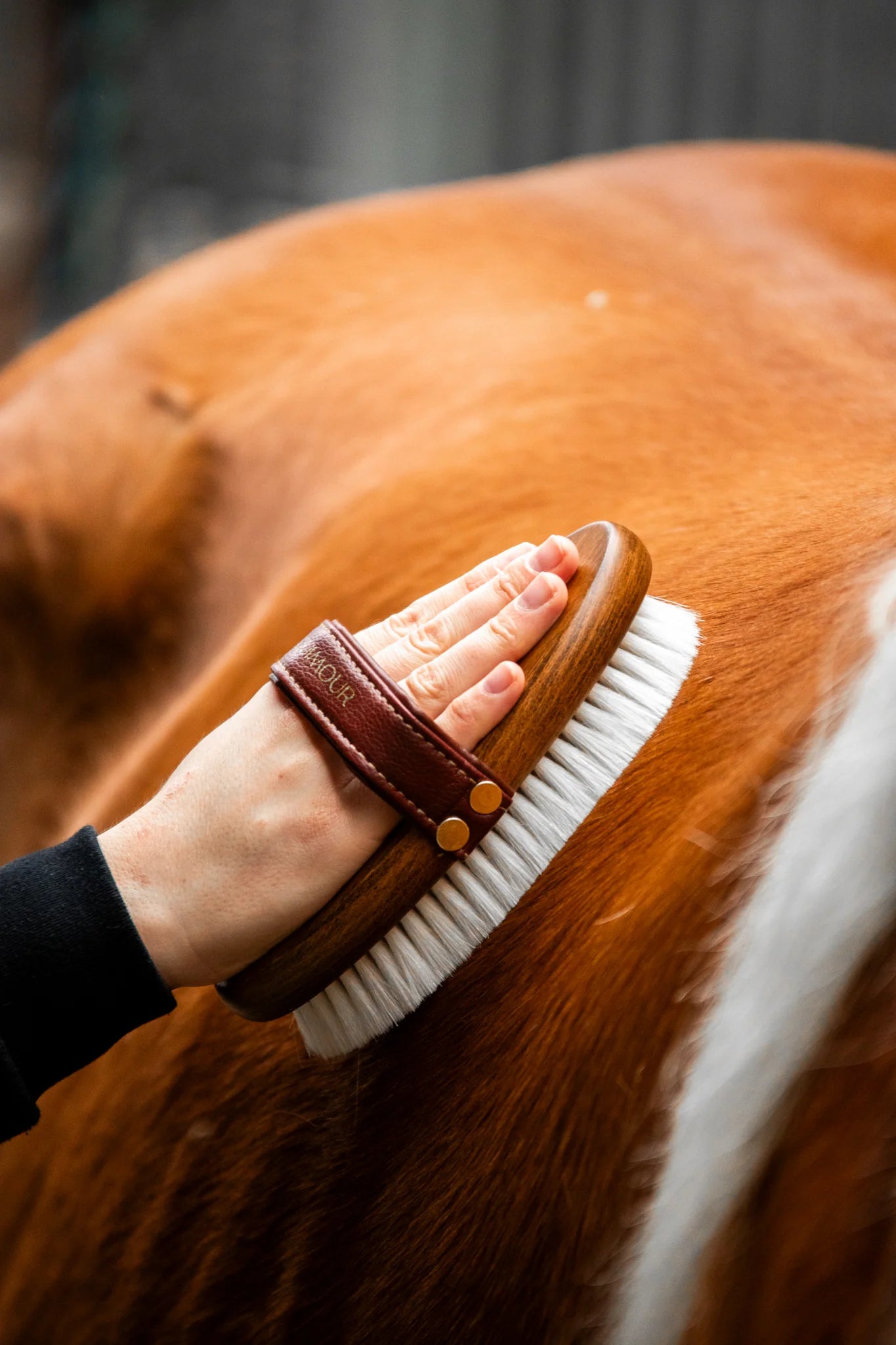 &quot;Mo&quot; Goat Hair Shine Brush