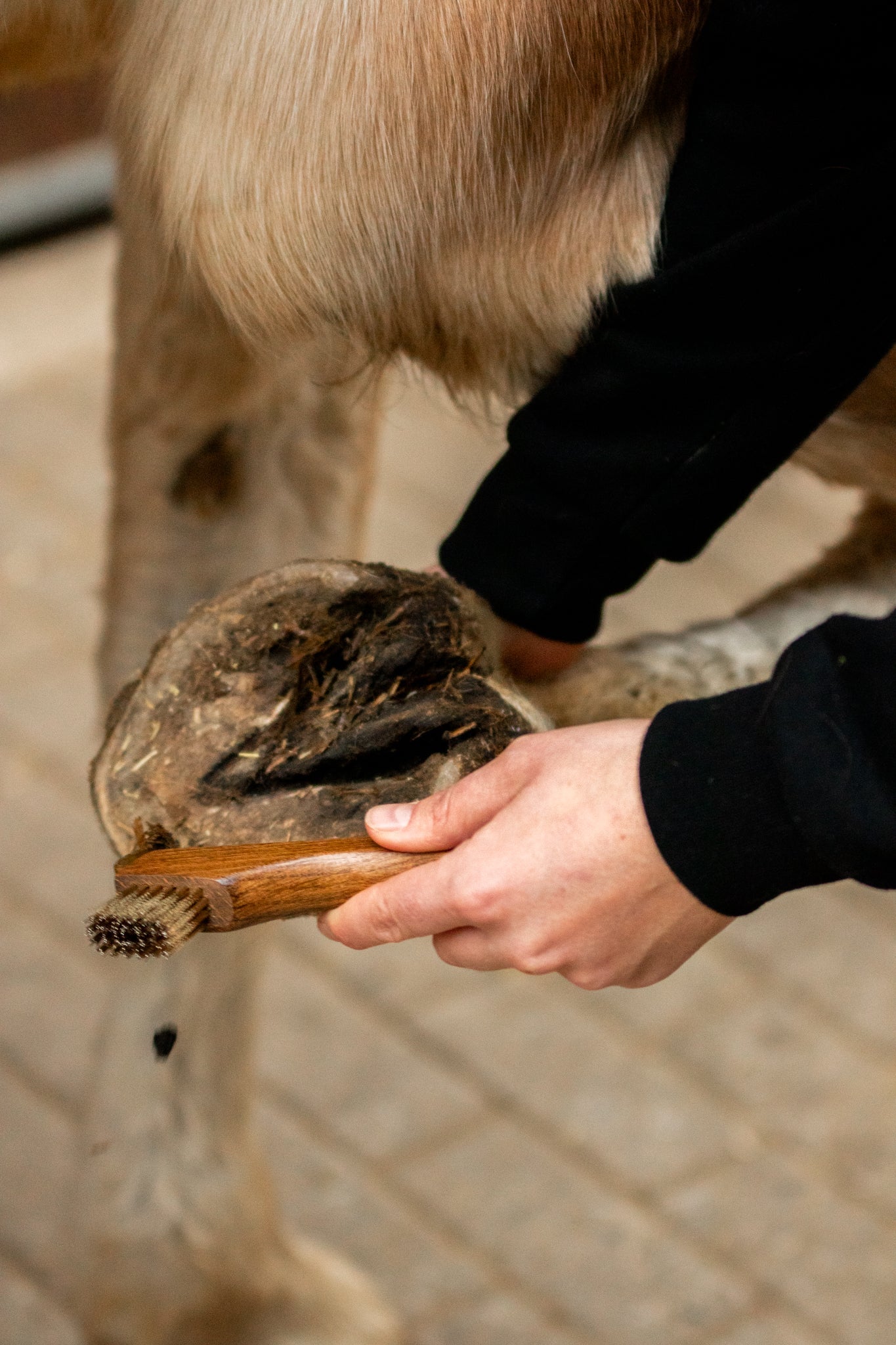 &quot;Lilo&quot; Hoof Pick
