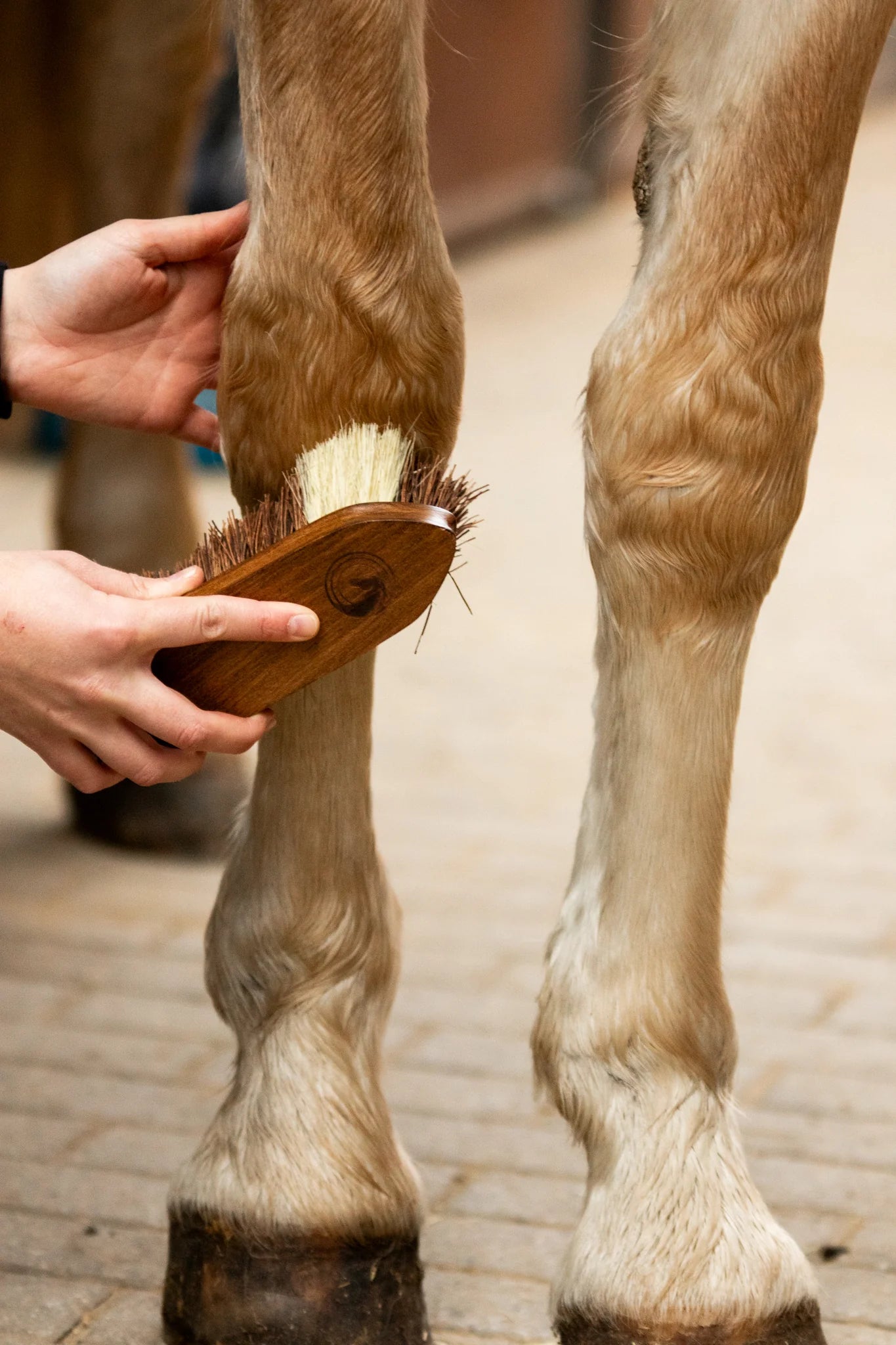 Equimour Hoof Duo Set