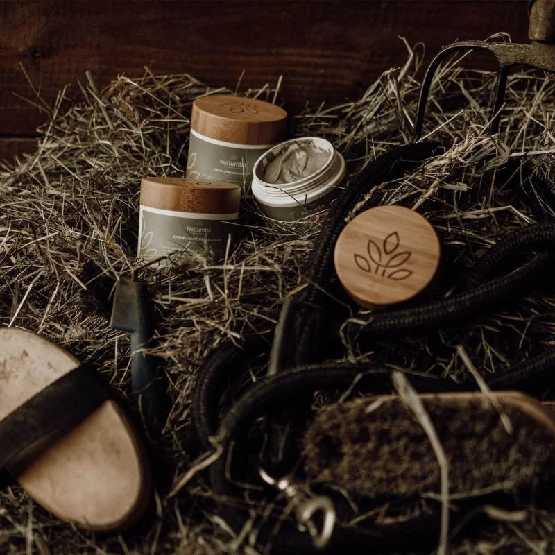Collection Image