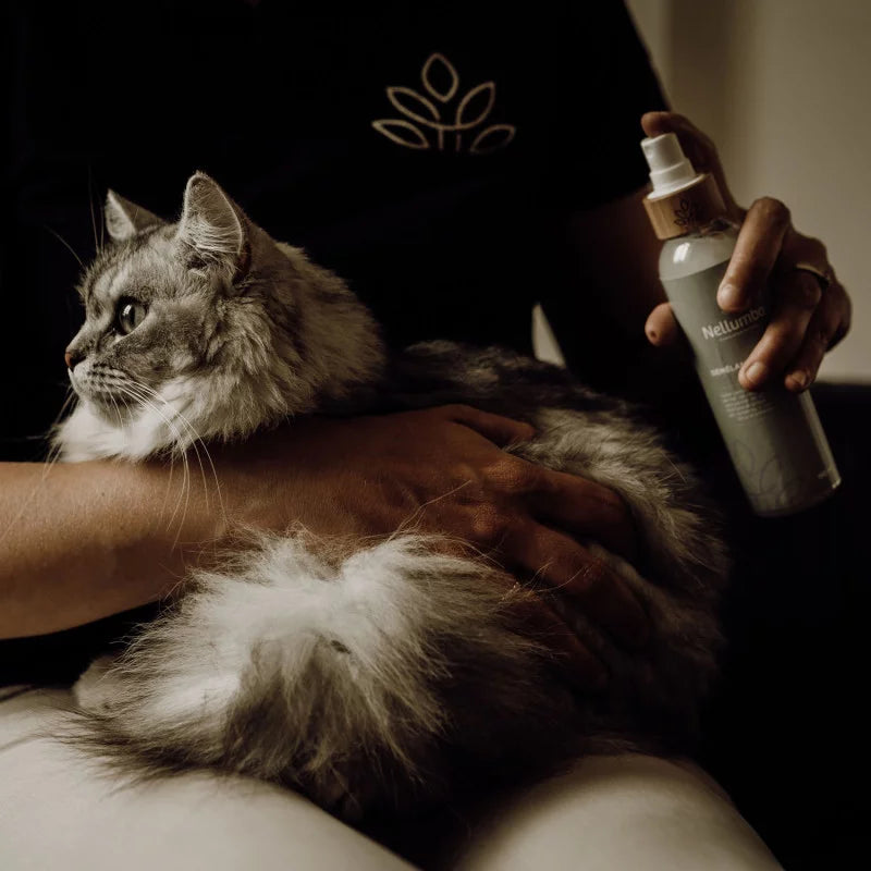 100% Organic shine and detangler by Nellumbo for your dogs and cats. Now available at Roxy and Bumble. 