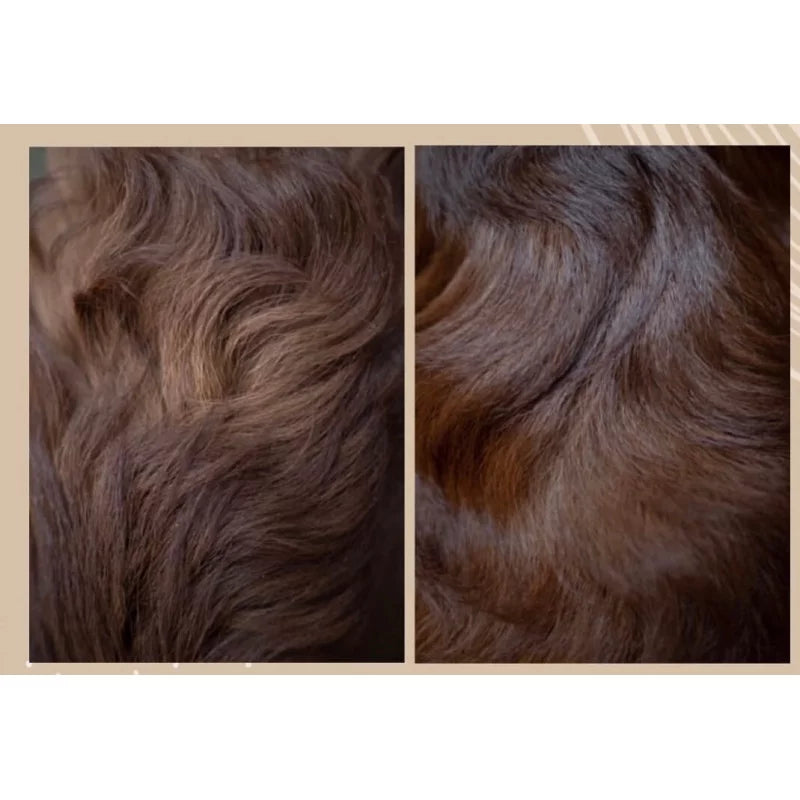 Before and after using Nellumbo Shine and Detangler. All natural, organic, and safe products for cats and dogs. 