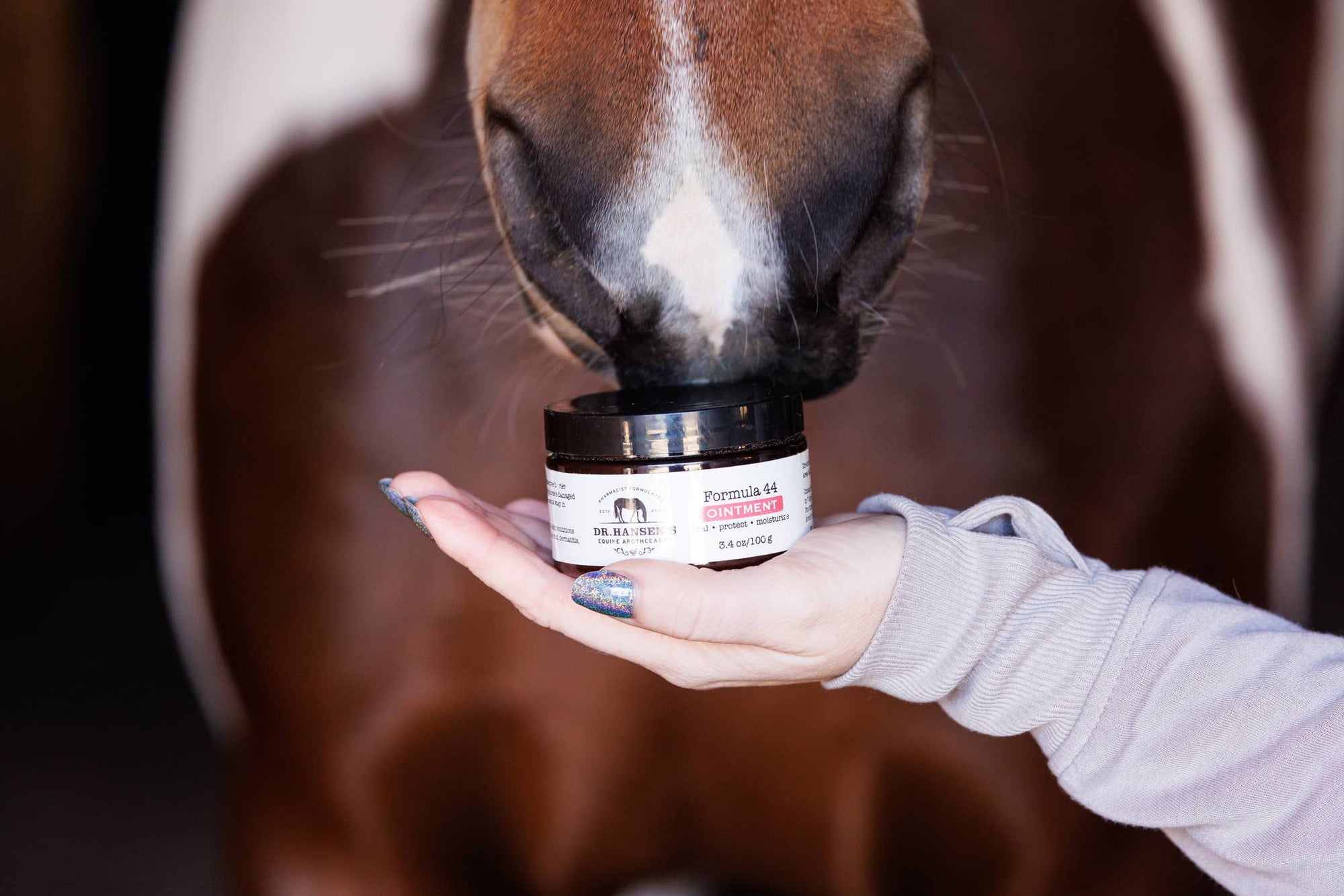 Equine ointment for wounds, scratches, rain rot, and more. Formula 44 by Dr. Hansen. 