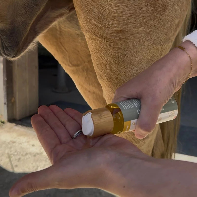 Summer Protection Serum For Horses