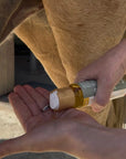 Summer Protection Serum For Horses