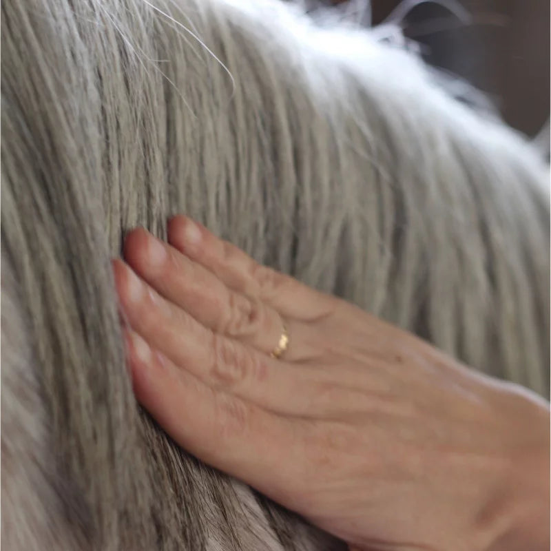 Summer Protection Serum For Horses