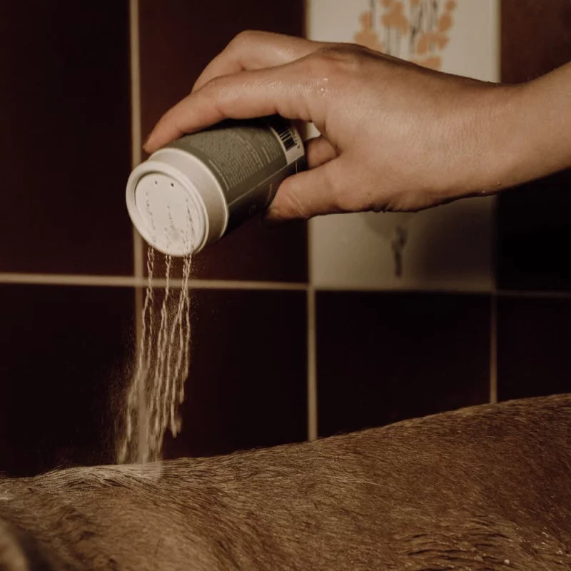 Nellumbo organic powder shampoo for your dog or cat. Now available at Roxy and Bumble. 